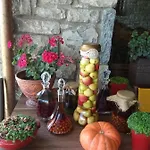 Χρυσοπελεια - Chrisopeleia Lake View Pensionat 4*
