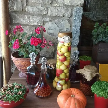 χρυσοπελεια - Chrisopeleia View Konukevi 4*