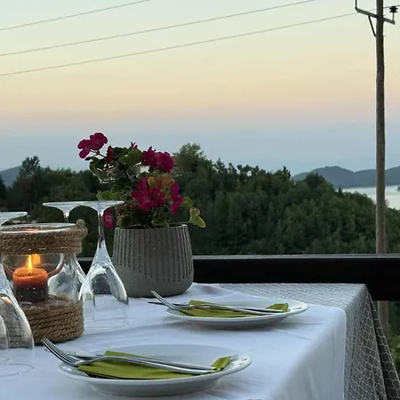 χρυσοπελεια - Chrisopeleia View 4*