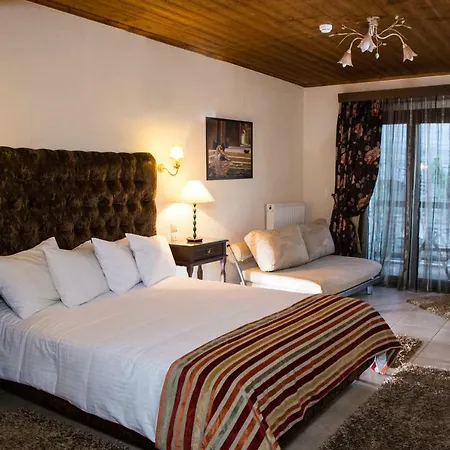 Χρυσοπελεια - Chrisopeleia Lake View Guest house