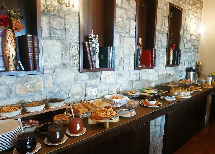 Konukevi χρυσοπελεια - Chrisopeleia View 4*