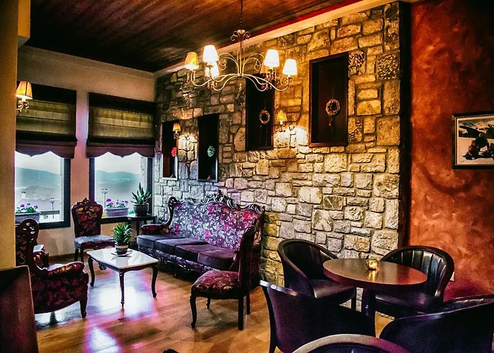 Konukevi χρυσοπελεια - Chrisopeleia View Neochórion