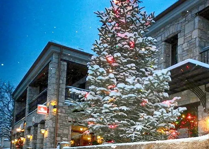 Konukevi χρυσοπελεια - Chrisopeleia View